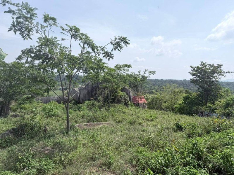 Tanah Kebun 4 Ekar Ayer Jernih Beserah Kuantan Freehold Dusun Durian Berpagar