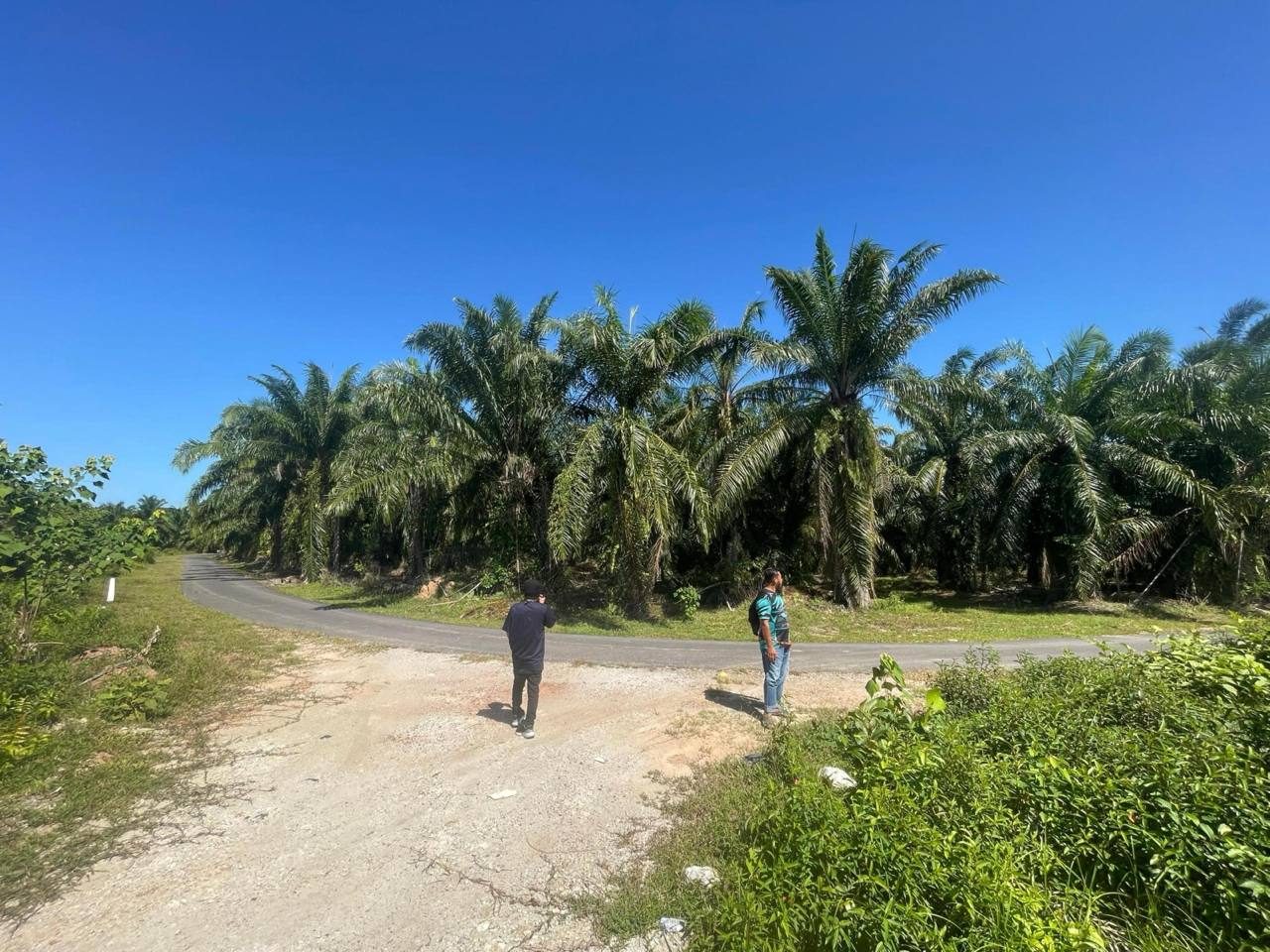 Tanah Pertanian 3.96 Ekar | Jugra Banting | Dekat Pantai Morib & SKVE