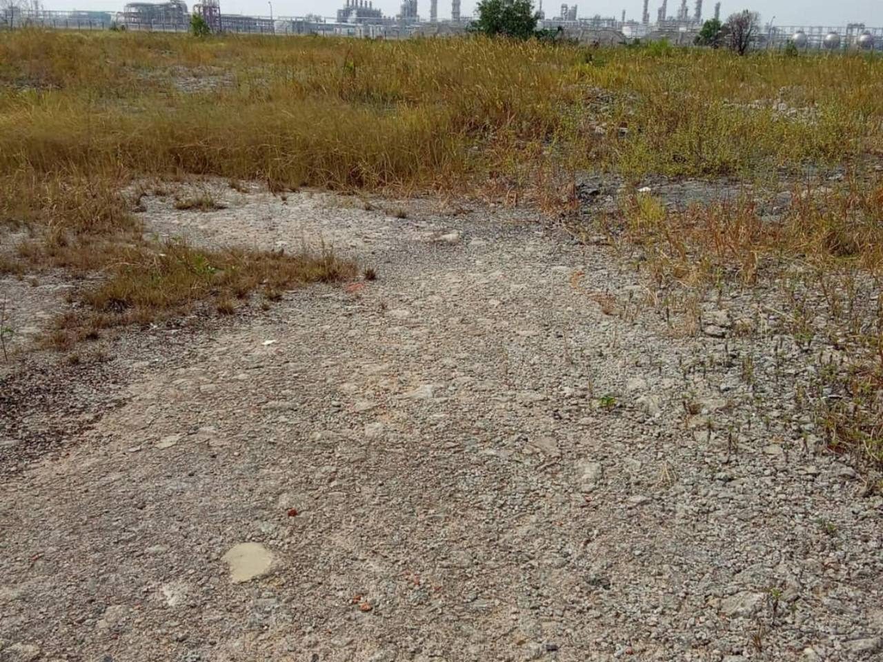Tanah Pertanian 1.49 Hektar ā Kampung Lepau, Pengerang, Johor
