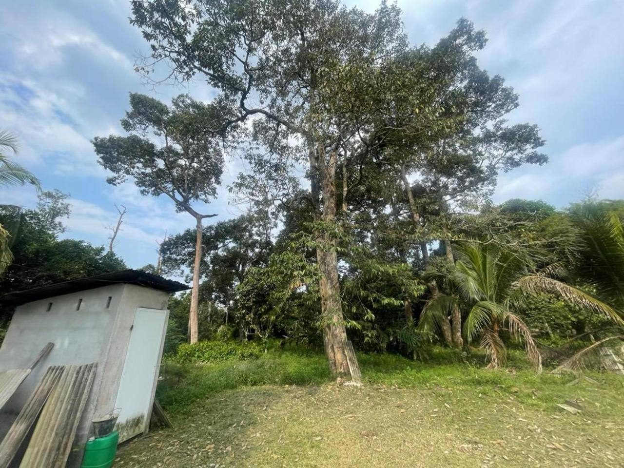 Tanah Pertanian 1.2 Ekar ā Jalan Kampung Budin, Sri Gading, Batu Pahat