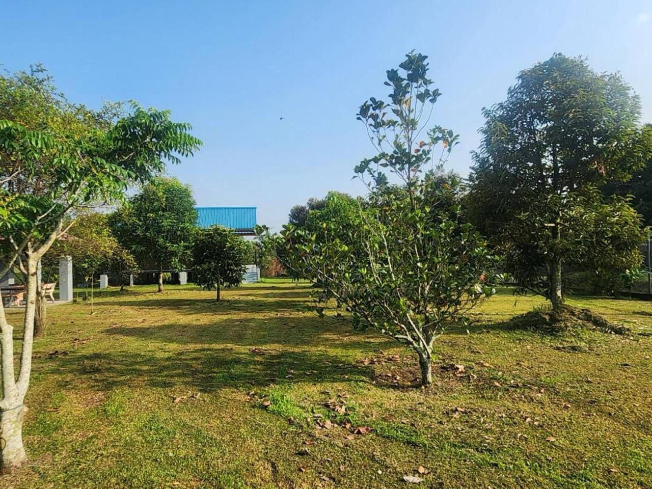 Bungalow Lot Luas ~0.97 Ekar – Jalan Orkid 2, Bukit Beruntung