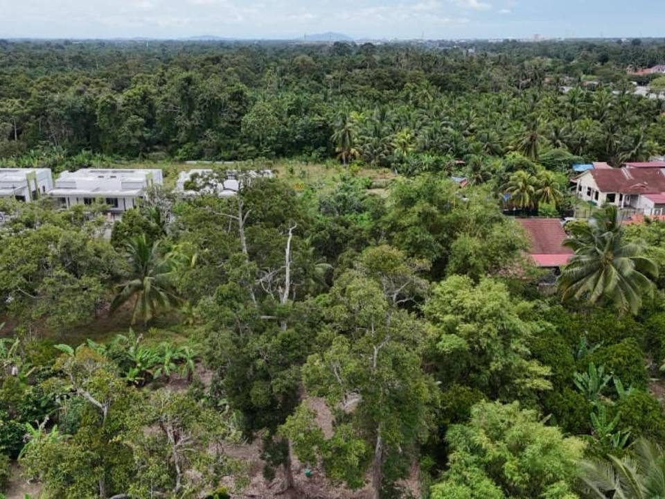 Tanah Pertanian 2.3 Ekar ā Tangkak, Johor