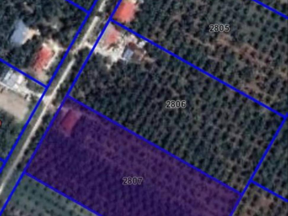 š“ KEBUN SAWIT 2 EKAR ā KUALA SELANGOR
