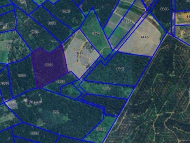 Tanah Pertanian 8.93 Ekar Kota Tinggi Freehold Jalan Lombong Rezab Melayu