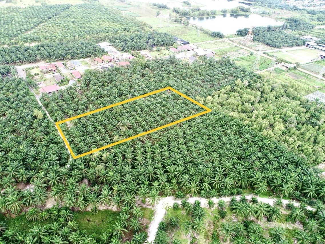 Tanah Sawit 2.1 Ekar Banting Bukit Changgang Leasehold Akses Jalan Tar Infra Ready