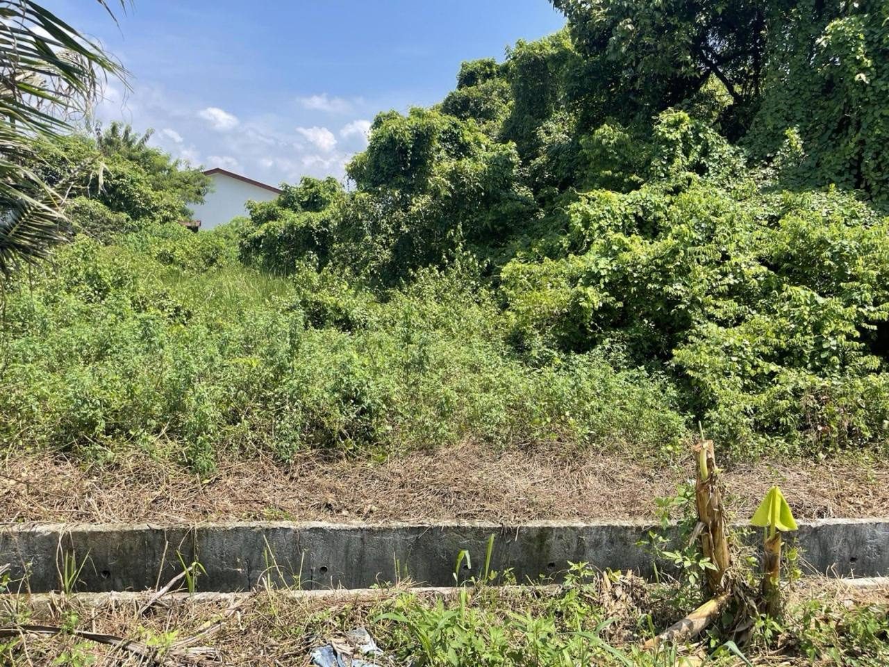 Tanah Bangunan 10,806 sqft Pulau Meranti Puchong South Strategik