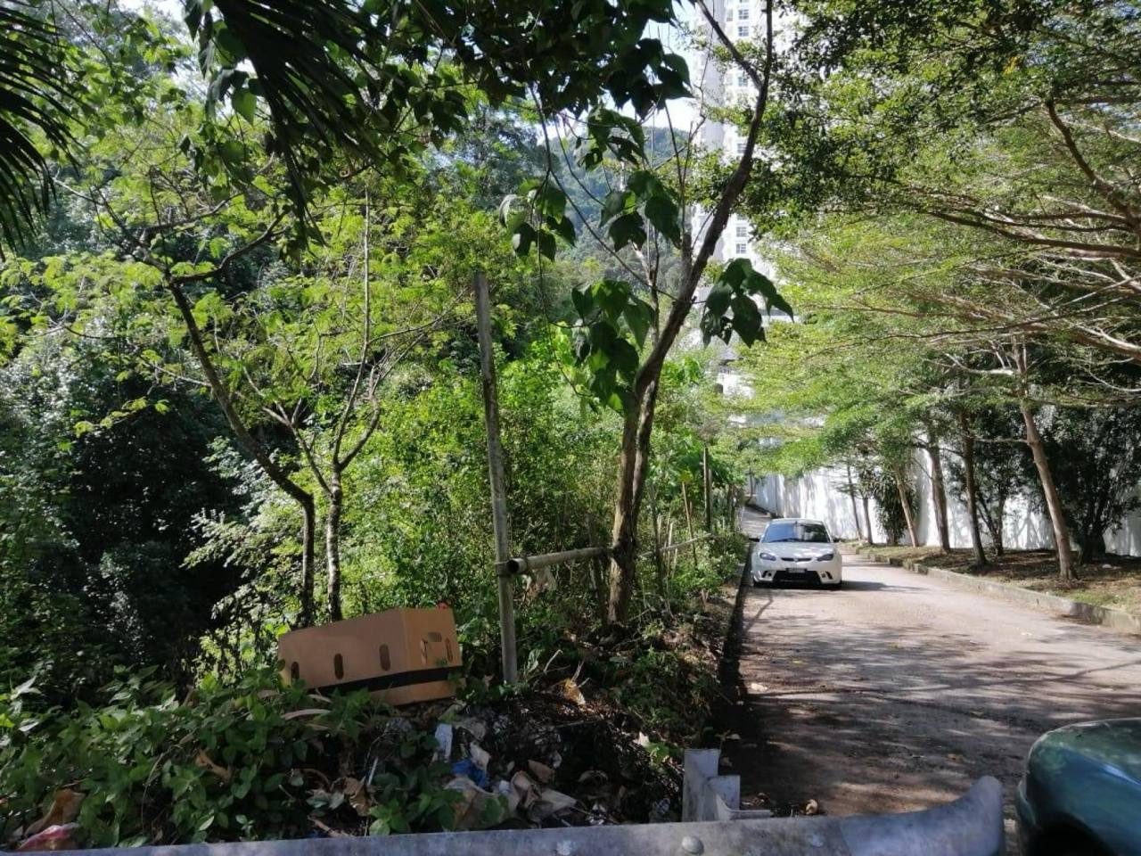 Tanah 27 Ekar Bayan Lepas Freehold Non Bumi Lot Near Airport Open Title Strategic Location
