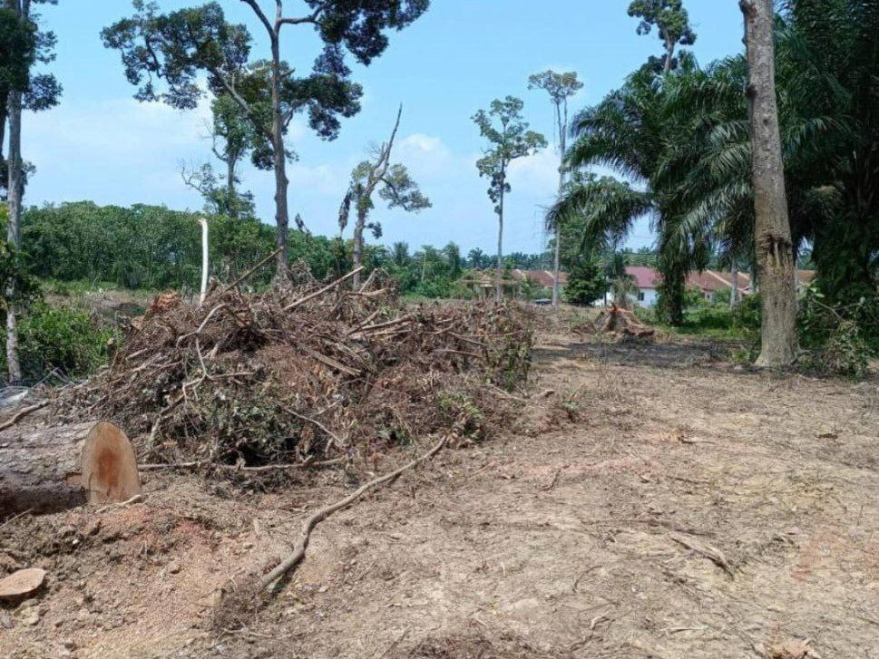 Tanah 1.89 Ekar Kampong G4jah Freehold Geran Individu Belakang Kawasan Perumahan