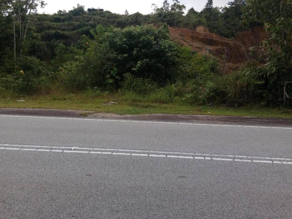 Tanah 0.5 Hektar Kuala Berang Freehold Dusun Siap Sistem Air & Pagar