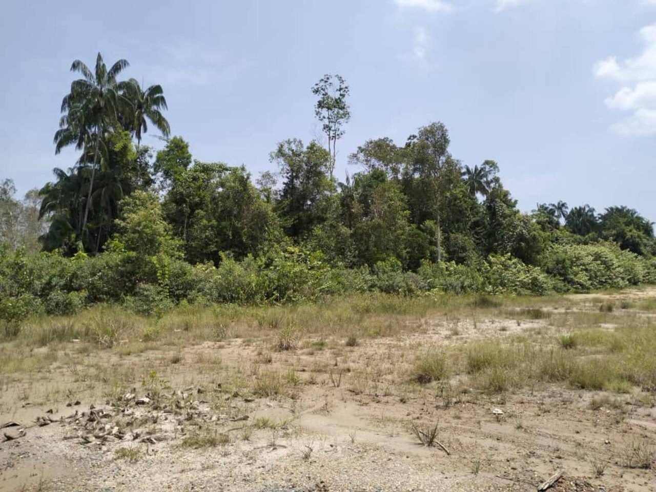 Tanah 6.48 Ekar Kerteh Freehold Lokasi Strategik Berdekatan Bandar dan Airport