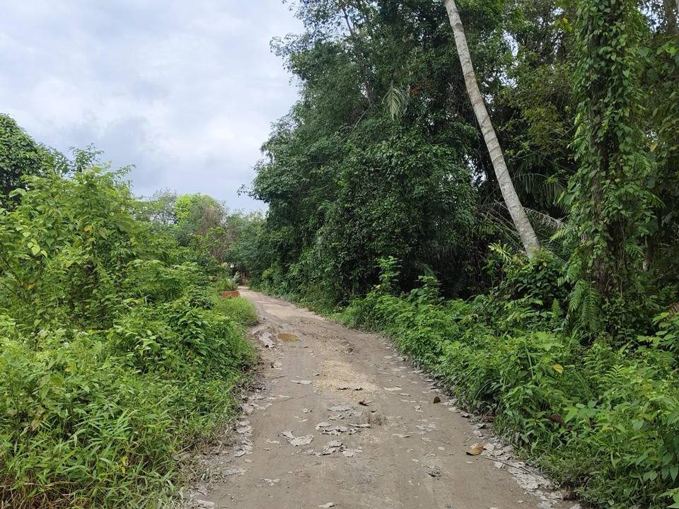 Tanah Bangunan Pulau Serai Dungun Terengganu Freehold 581sqm Dekat Sekolah