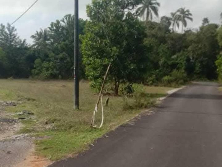 Banglo Lot Penarik Setiu Terengganu 5338 sqft Freehold Dekat Pantai Tanah Kediaman Murah