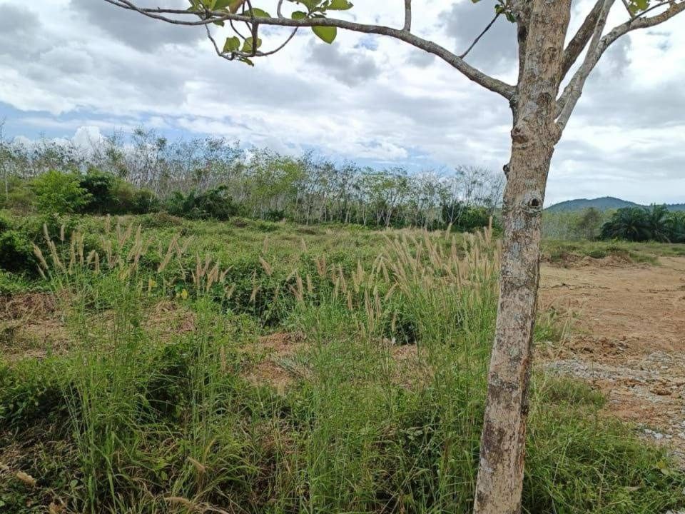 Tanah 372000 sqft Ulu Pauh Arau Perlis Berhadapan UniMAP Tepi Highway Lokasi Strategik