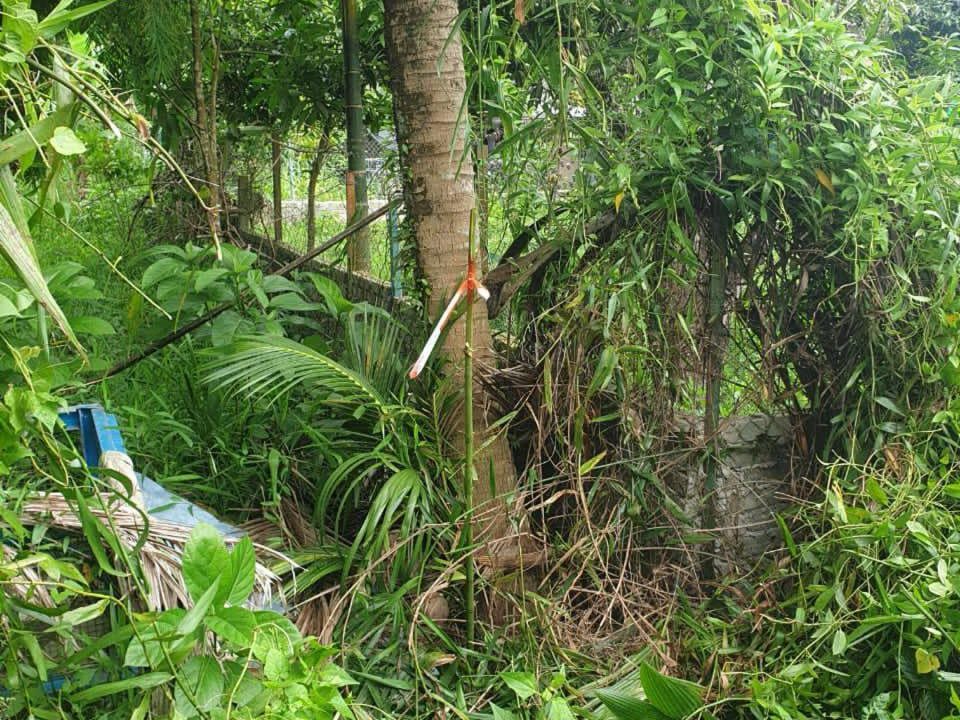 Tanah Lot Sungai Baru Sanglang Perlis Freehold 39750 sqft Siap Ukur Akses Jalan