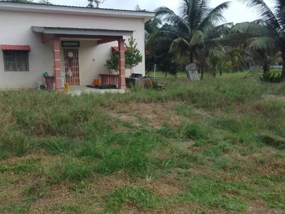 Tanah Pertanian 5.38 Ekar Kota Tinggi Johor Freehold Rumah Sedia Ada Tanaman Kelapa