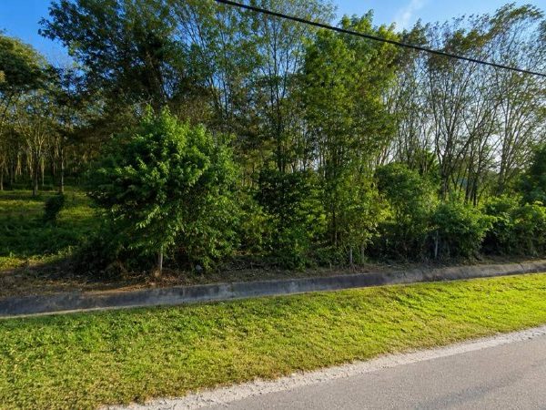 Tanah Pertanian Disewa 3.2 Ekar Tepi Jalan Utama Pajam Mantin Seremban Lokasi Strategik