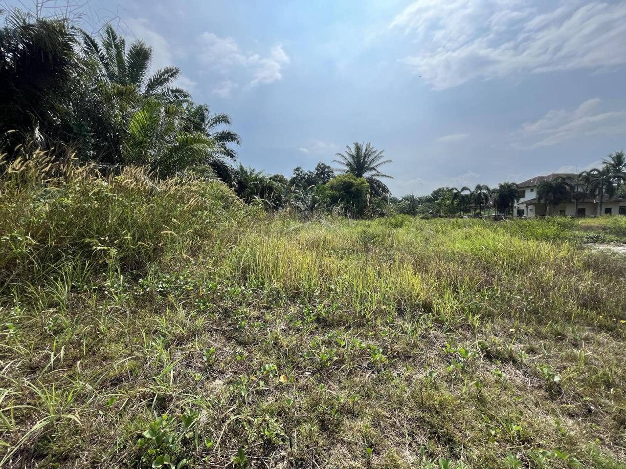 Tanah Lot Banglo 7900 sqft Jasin Melaka Kg Tersusun Lipat Kajang