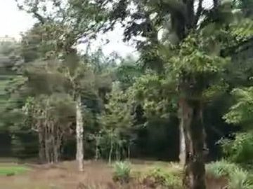 Tanah Industri 1.05 Ekar Lebuhraya Sultanah Bahiyah Alor Setar Kedah Freehold Geran Individu