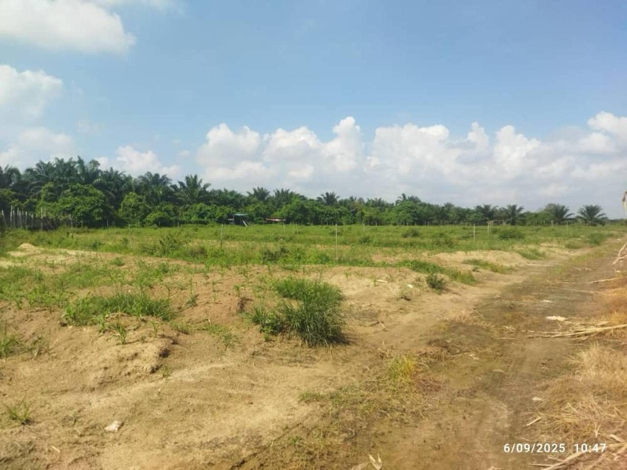 Tanah Pertanian Kampar Perak 2.46 Ekar
