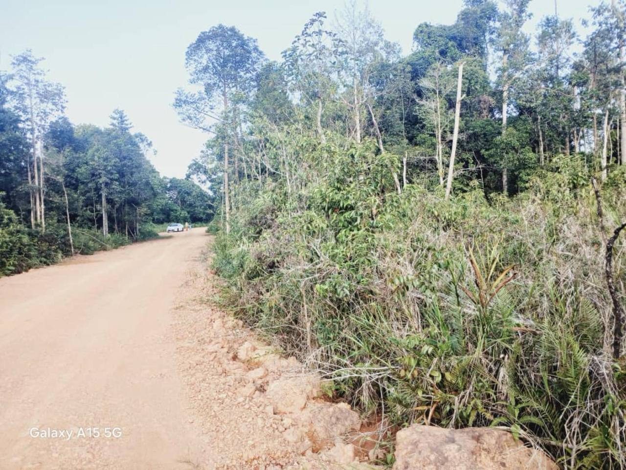 Tanah Pertanian 1.85 Ekar Pengerang Johor Freehold Bukit Pelali