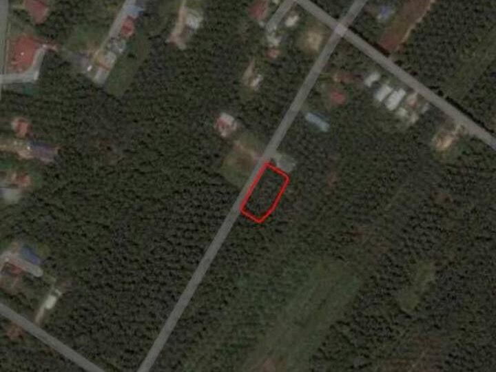 Tanah 1.2 Ekar Bukit Kuching Jeram Kuala Selangor Freehold Sawit Matang