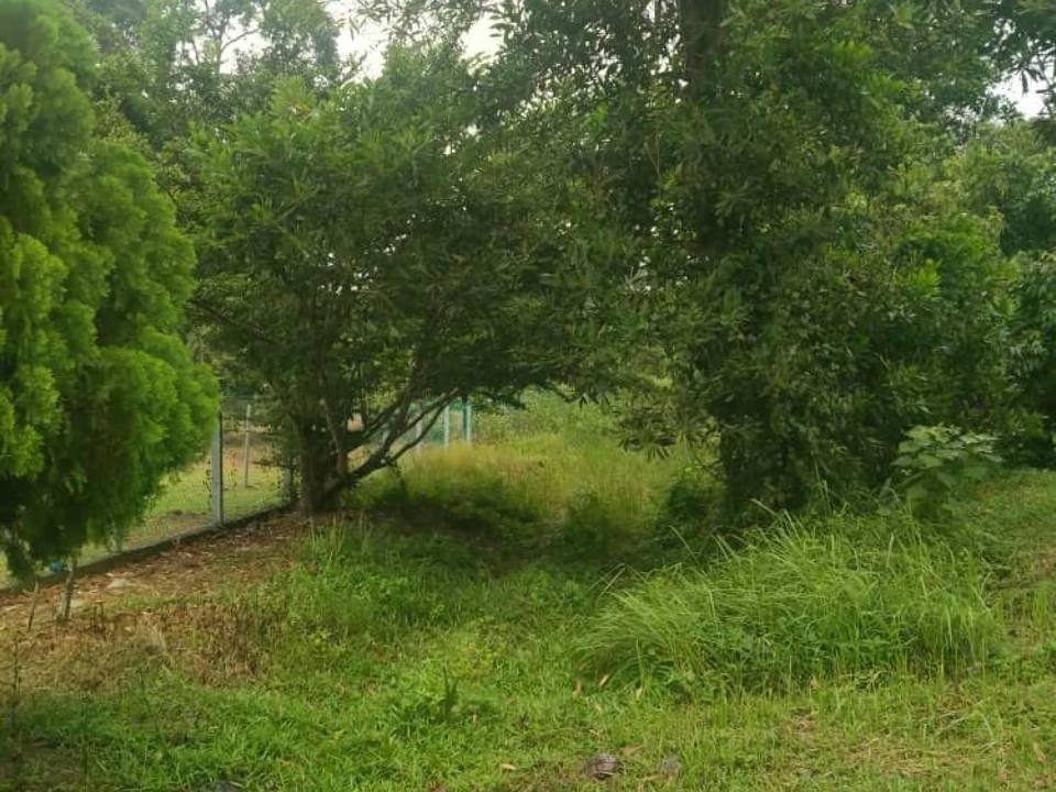 Tanah Pertanian 122.8 Ekar Jasin Melaka Freehold Tepi Jalan Besar Geran Individu