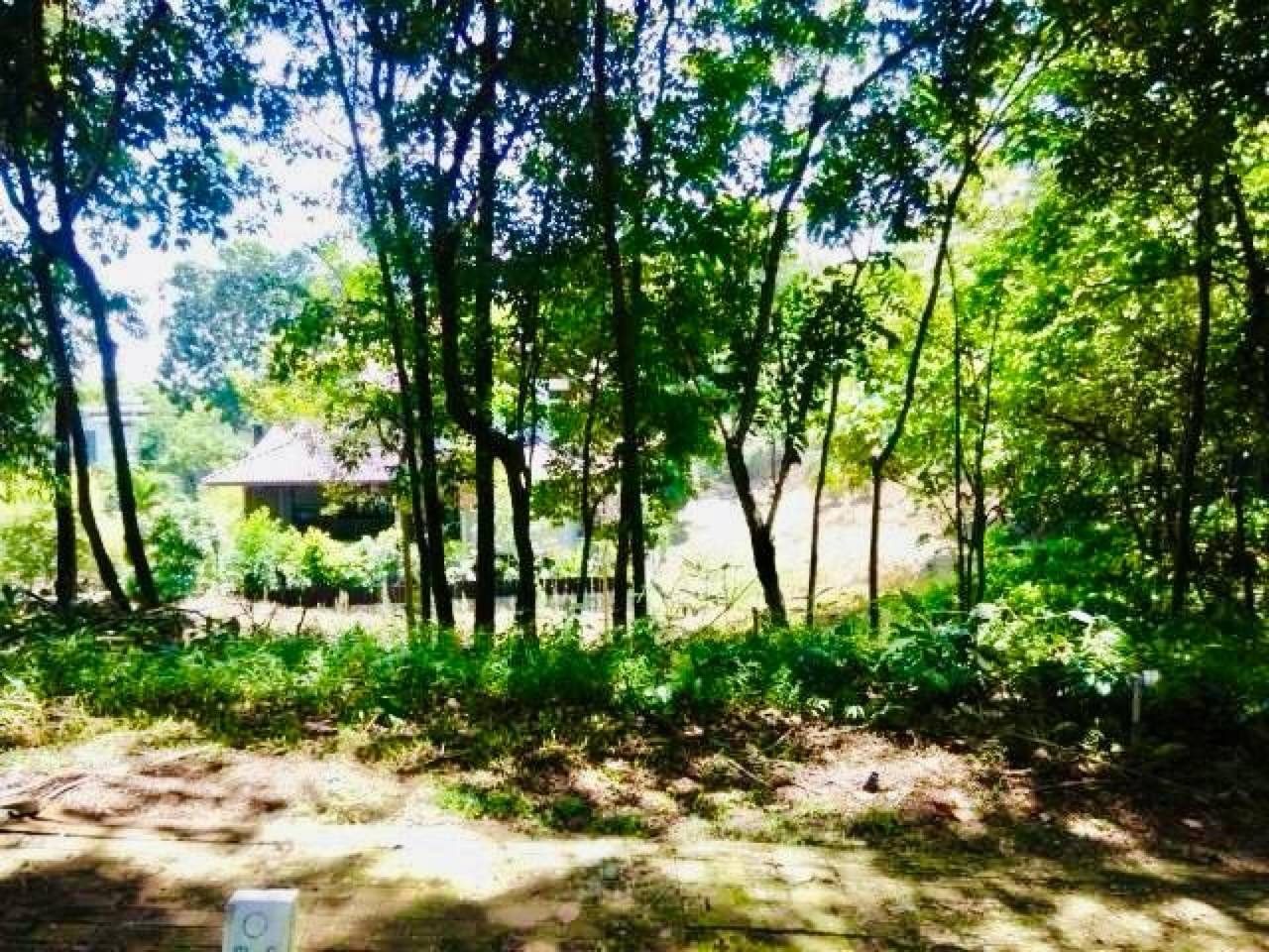Tanah Banglo Country Heights Damansara KL Freehold Lokasi Premium