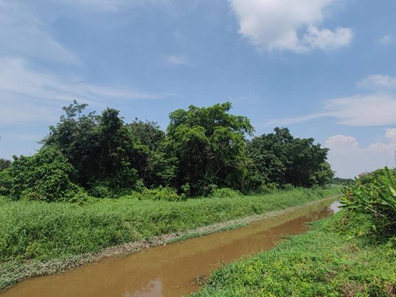 Tanah Pertanian 1.5 Ekar Jalan Paip Meru Klang Tepi Jalan