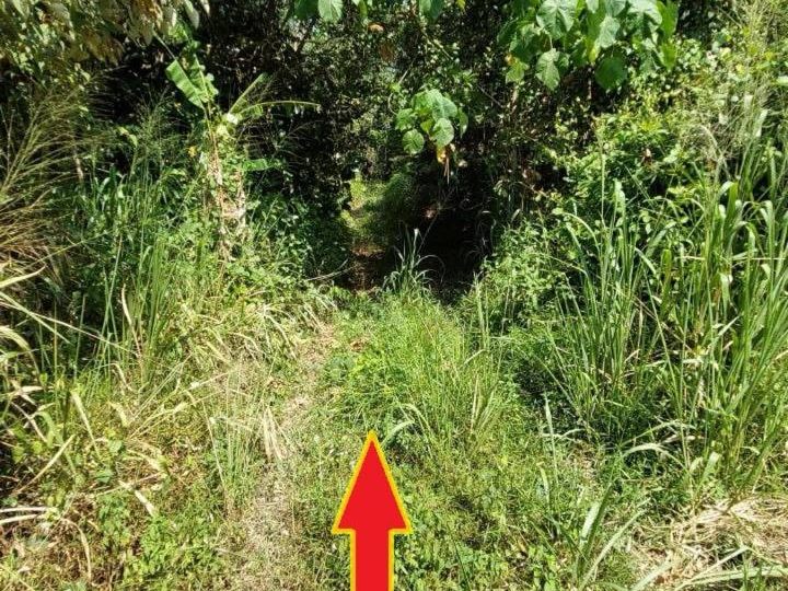 Tanah Rata Freehold 4 Ekar Sungai Merab Dengkil Dekat Putrajaya Bangi