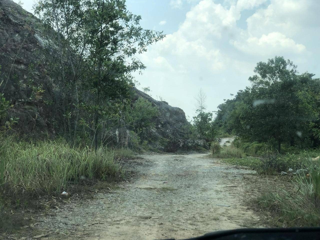 Tanah Pertanian 1 Acre Mutiara Keruing Sg Merab