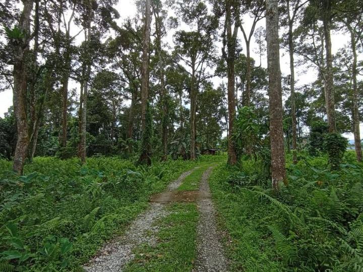 Tanah Dusun Durian 1.4 Ekar Kg Sentosa, Batang Kali