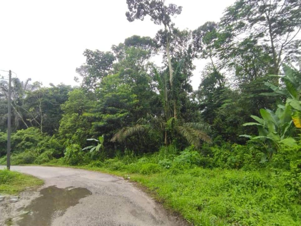 Lot Kediaman 13,509 sqft Batang Kali Selangor | Geran Individu
