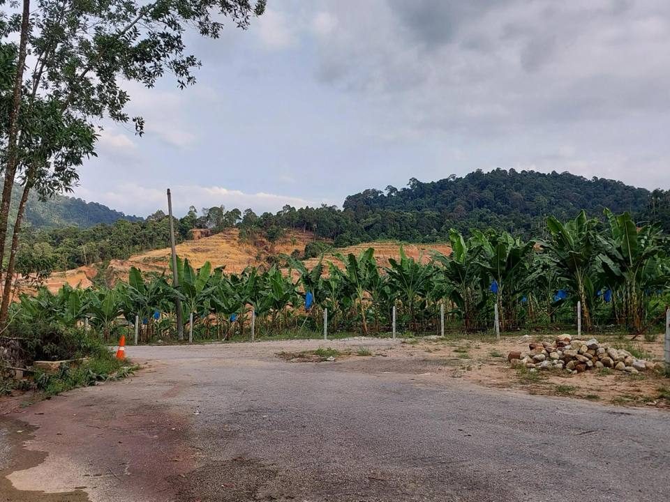 Tanah Banglo Ulu Yam Perdana Batang Kali Selangor 5403 Sqft Berhampiran Jalan Utama