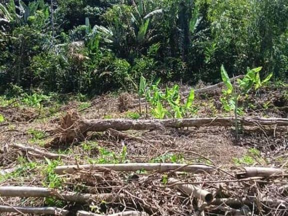 Tanah Pertanian 1.6 Ekar Kg Ulu Temu Batang Kali Selangor Geran Individu