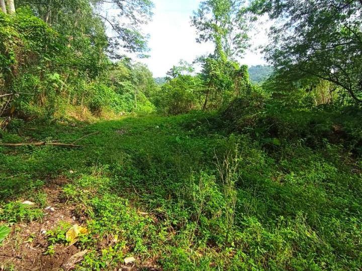 Tanah 1 Ekar Freehold Zon Kediaman Sungai Kertas Batu Caves (Infra Lengkap)