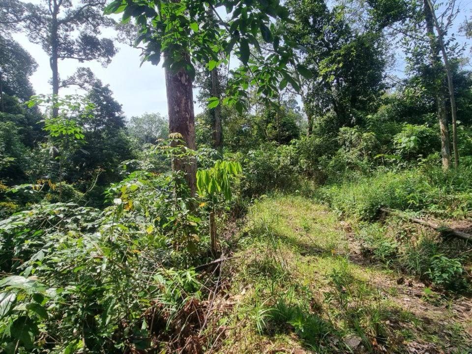 Tanah Dusun 2 Ekar Freehold Hulu Langat Ada Sungai & Durian