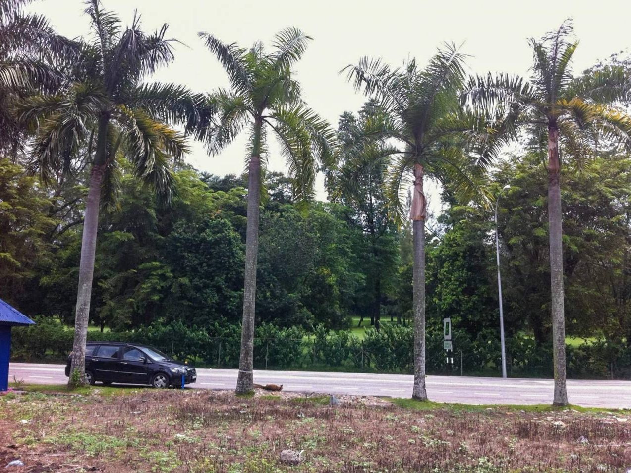 Tanah Bungalow 9,096 sqft Kelana Jaya Selangor ā Freehold