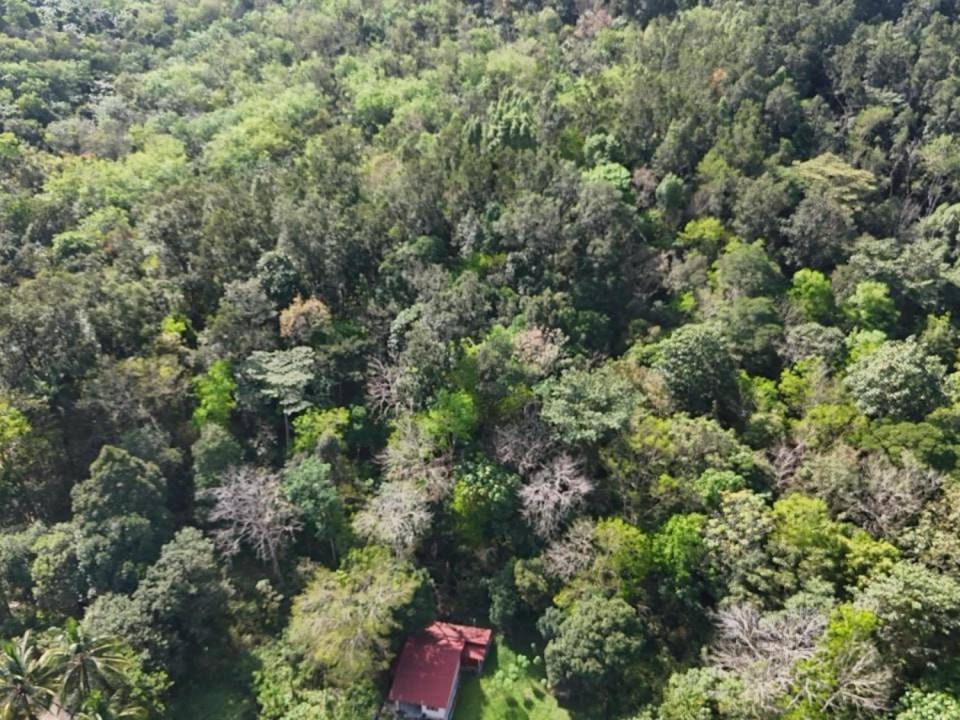 Tanah Pertanian 1.2 Ekar Freehold Kuala Kubu Bharu Selangor