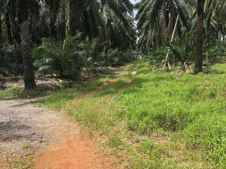 šæ Tanah Untuk Dijual ā Simpang Ijok, Kuala Selangor