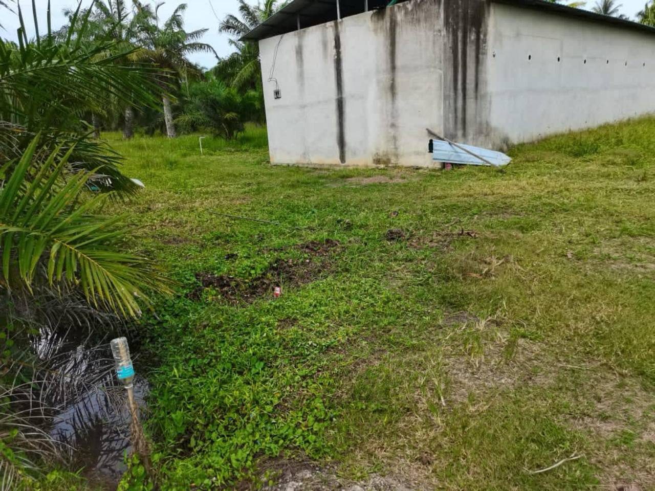 Tanah Pertanian 2 Ekar Tanjung Karang Kuala Selangor Siap Rumah Walit Near Jalan Pantai Rasa Sayang