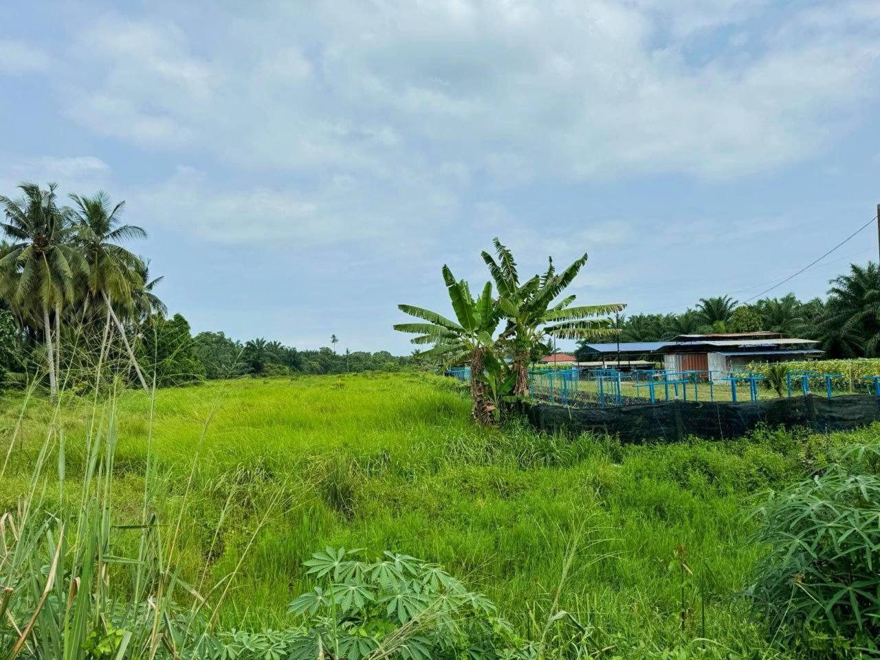 Tanah Pertanian Freehold 2 Ekar Jeram Kuala Selangor Tepi Jalan Tambak Tengah Near Sky Mirror Pantai Remis Agrotech Area