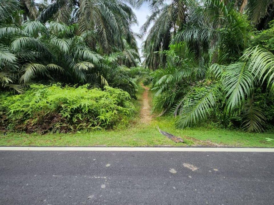 Tanah Tepi Jalan Rata 5 Ekar Batu 7 Ijok Kuala Selangor Freehold Near LATAR Highway & Pekan Ijok