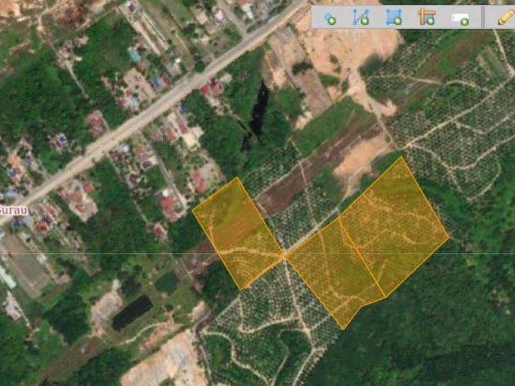 Tanah Kelapa Sawit 21 Ekar Bentong Pahang Freehold Di Bawah Felcra