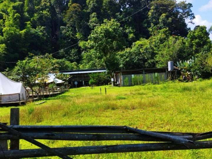 Tanah 8.66 Ekar Janda Baik Bentong Freehold Akses Jalan Chalet Sedia Guna