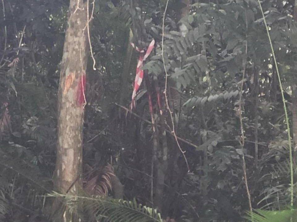 Tanah Pertanian 14.75 Ekar Cinta Manis Mukim Sabai Bentong Pahang Freehold Tepi Jalan Besar