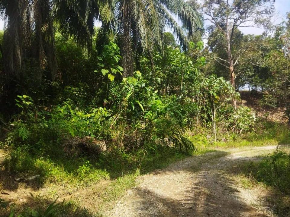 Tanah Pertanian 6 Ekar Lebu Bentong Pahang Berhampiran CSR Highway Freehold
