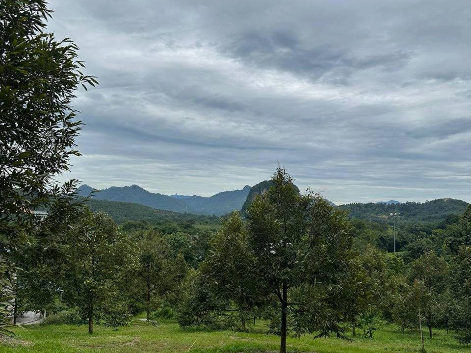 Tanah Pertanian Bentong Pahang 3.5 Ekar Bersebelahan Tol Karak Freehold