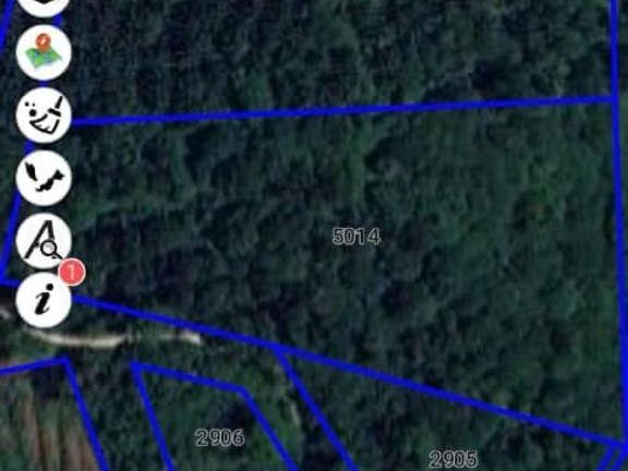 Tanah Dusun 6 Ekar Mukim Dong Raub Pahang Durian & Dokong Matang