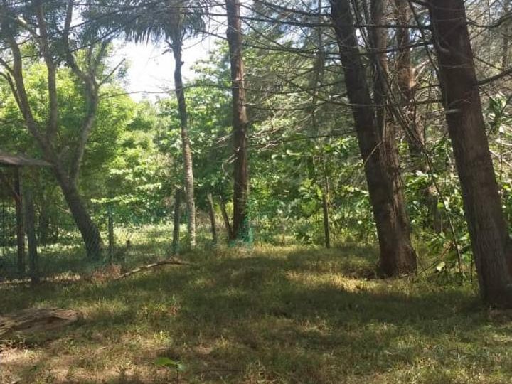 Tanah Tepi Pantai Sungai Ular Kuantan Pahang 1.24 Ekar Freehold