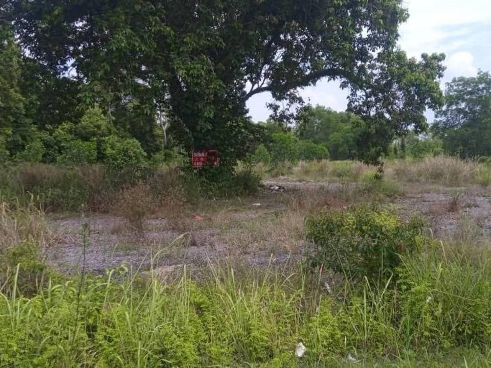 Tanah 30,278 sqft Tepi Jalan Utama Pekan Pahang